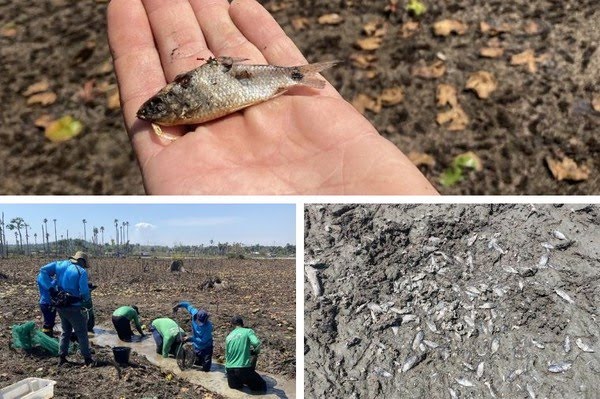 MP dá prazo de 120 dias para plano de desativação da Usina Hidrelétrica de Colíder (MT)